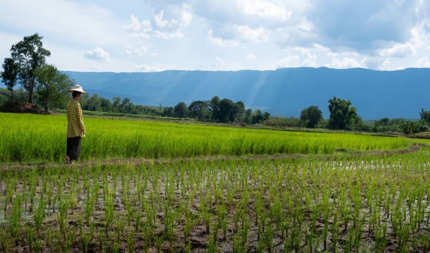 A research that focuses on gender and food insecurity contributes to Indo-Pacific efforts toward recovery and preparation.
