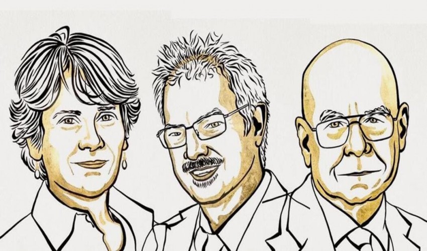 The 2022 Nobel Prize in Chemistry was awarded for a method of joining molecules using a "Lego-like" system of "clicks."