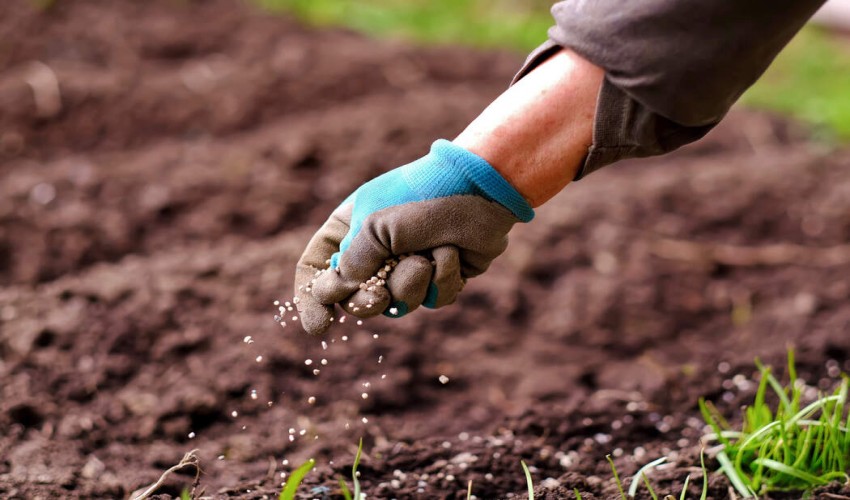 Balancing Fertilizer Decisions
