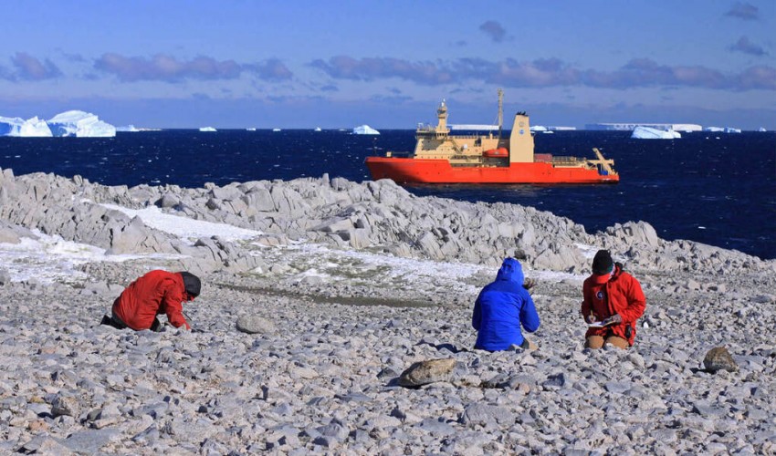 There is a thriving ecosystem in a large cavern beneath a West Antarctic glacier.