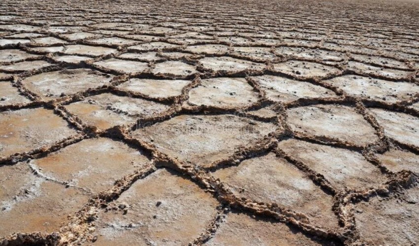 Discover the secret behind the universal similarity of salt flats' geometric patterns.