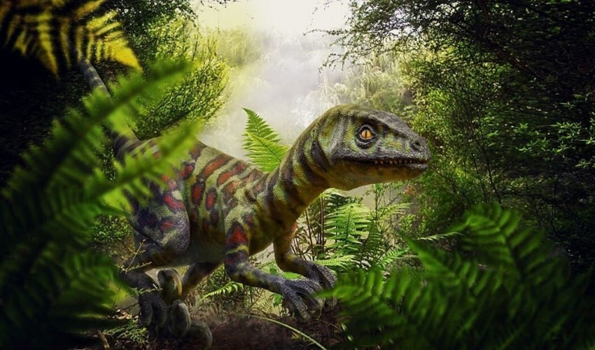 Possible ancestors of pterosaurs were small, fast-moving reptiles.