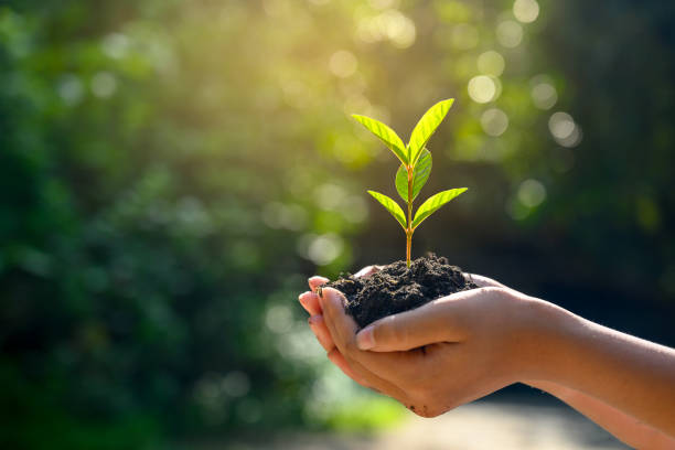 Scientific Research Journal of Environment, Earth and Physical Science