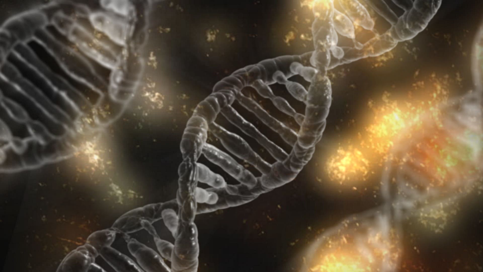 Scientific Research Journal of  Biology and Life Science