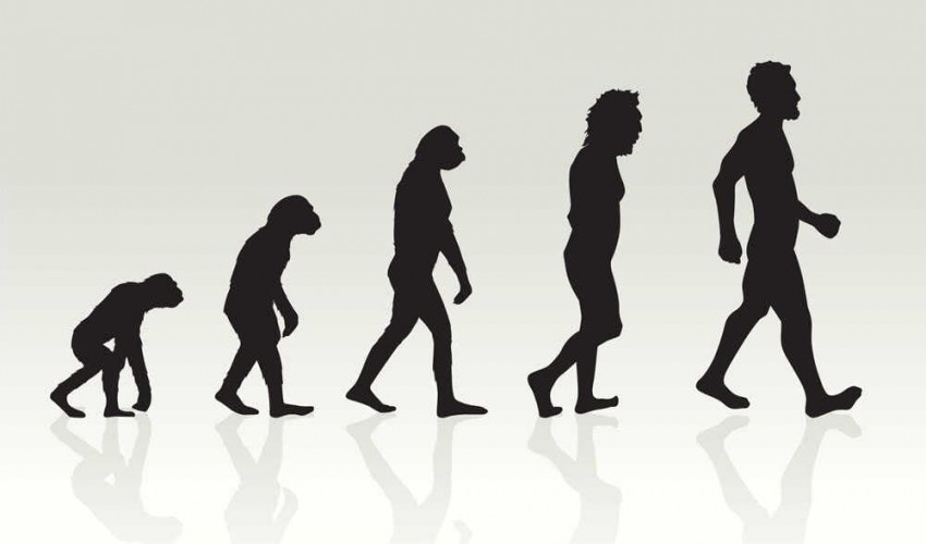 Topics for Evolutionary Biology Research