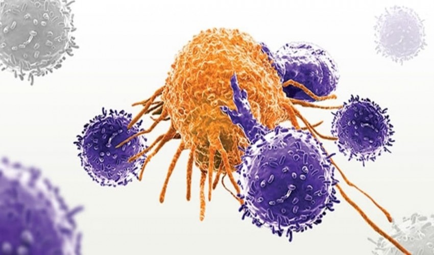 Research Topics in Immunology