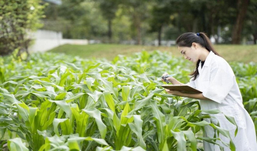 Topics for Plant Pathology Biology Research