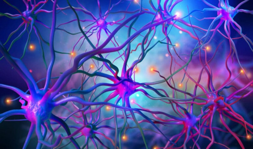 Neurology Research Area