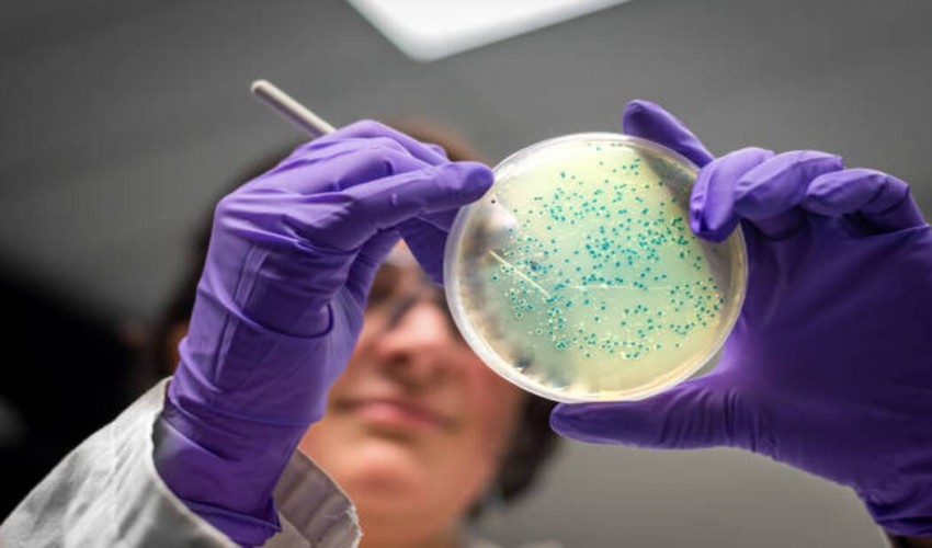 Topics for Molecular Biology Research