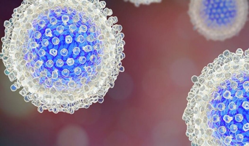 Topic for Research in the Field of Microbiology