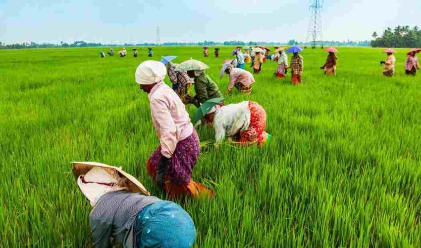 Topics for Agriculture Research Papers