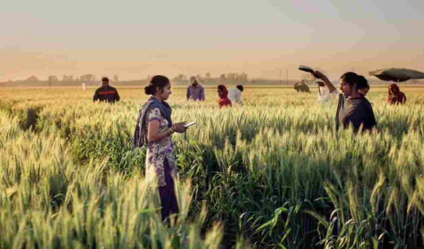 Research Topics in Agronomy