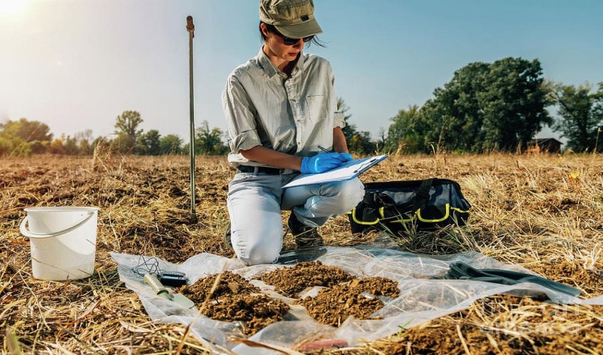 Soil Sciences