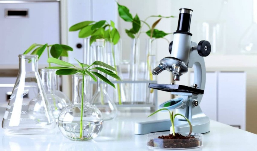 Plant Molecular Biology