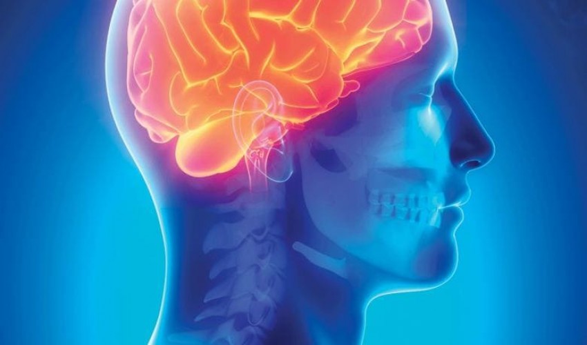 Neurology