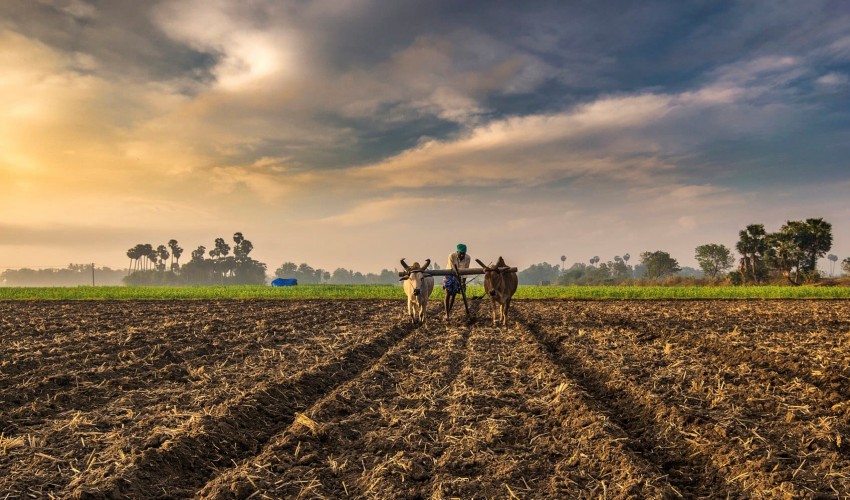 Farming