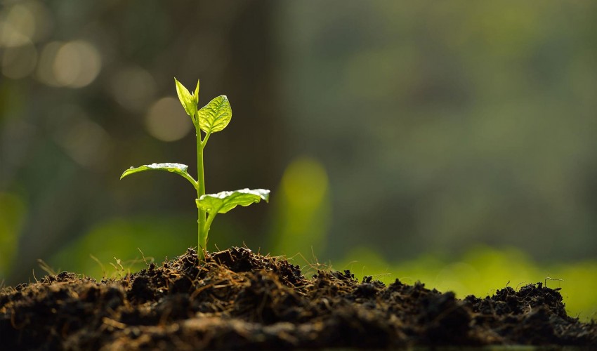 Agronomy and Chemical Science