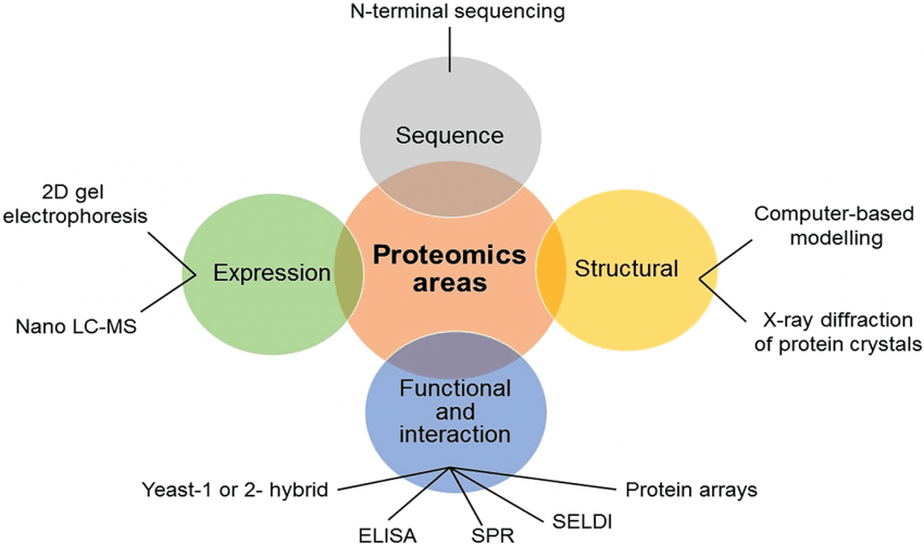 Proteomics