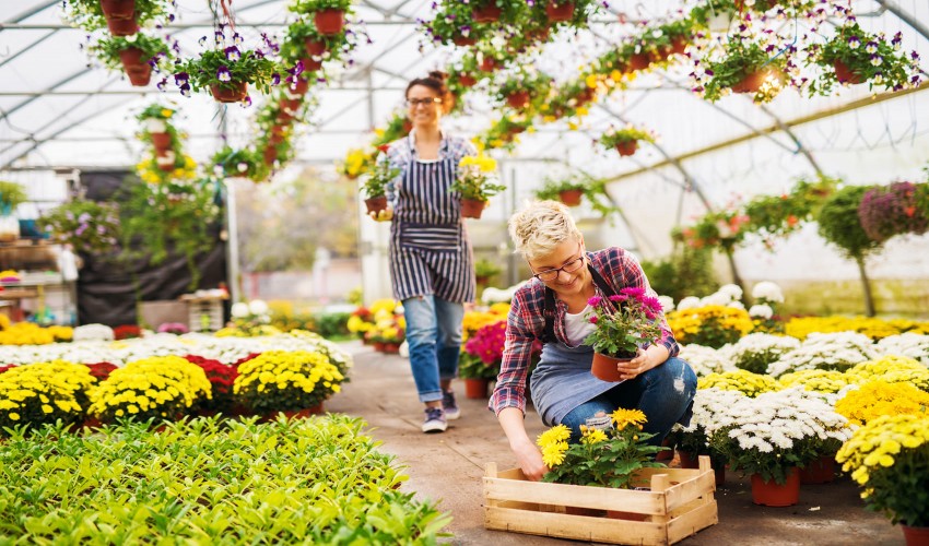 Horticulture