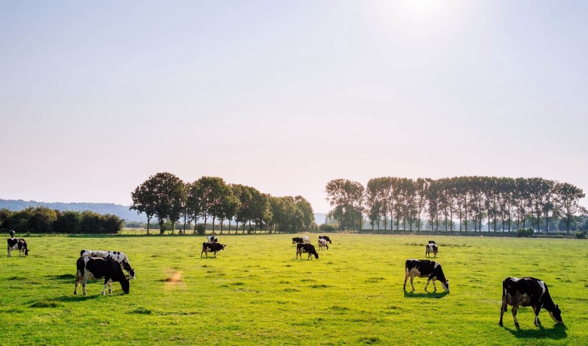 Dairy Science and Technology