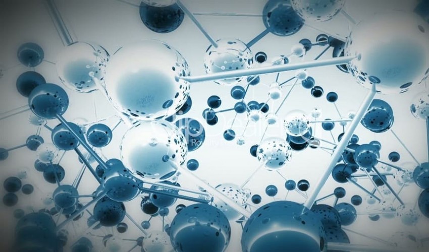 Polymer Engineering