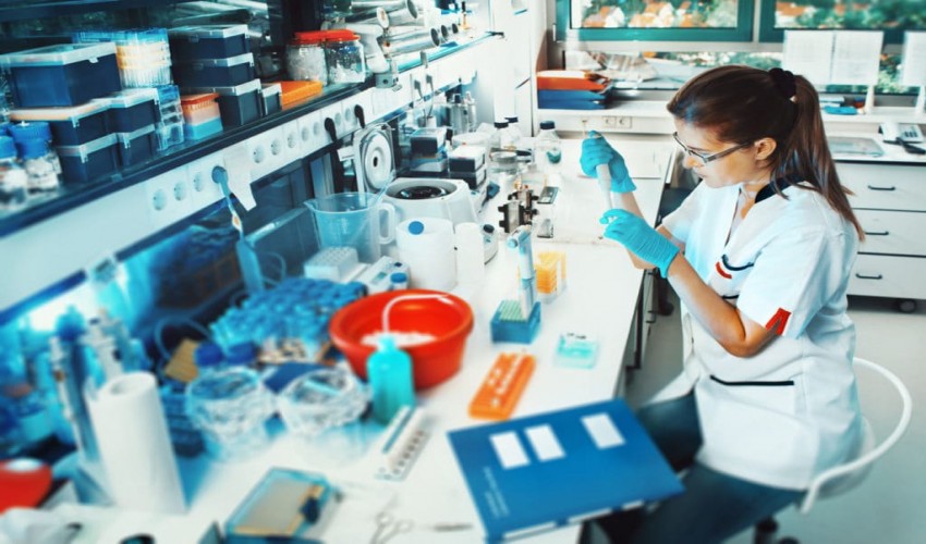 Biotechnology Engineering