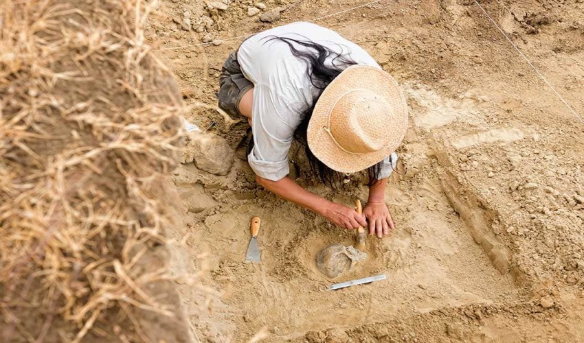 Archeology