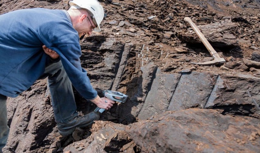 Petrology and Mineralogy