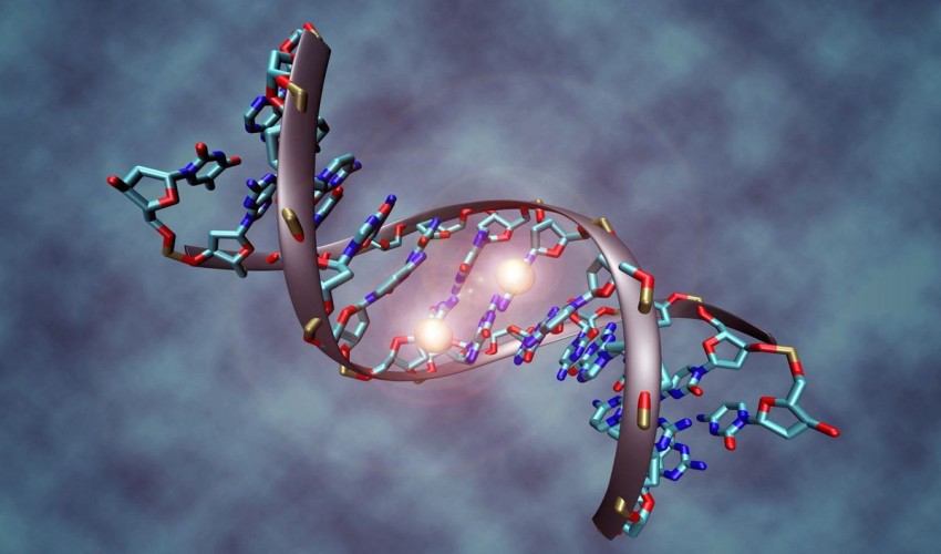 Human Genetics